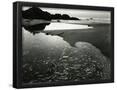 Essential Black