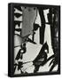 Essential Black