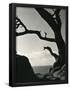 Essential Black