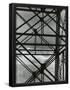 Essential Black
