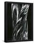 Essential Black