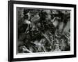 Gramercy Black