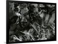 Gramercy Black