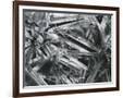 Gramercy Espresso