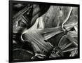 Gramercy Black