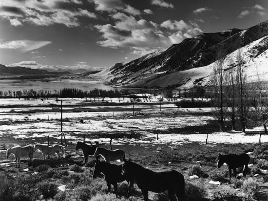 Premium Photographic Print, , large