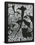 Essential Black