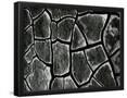Essential Black