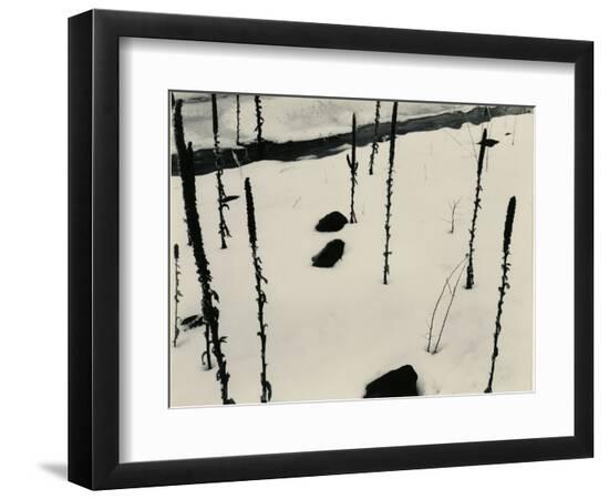 Photographic Print, , large