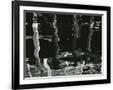 Gramercy Black