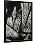 Gramercy Black