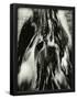 Essential Black