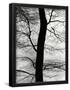 Essential Black