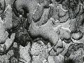 Just the Print