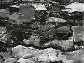 Just the Print