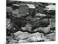 Wood Mount