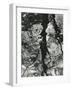 Chelsea White