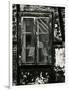 Gramercy White