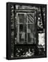Essential Black
