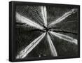 Essential Black