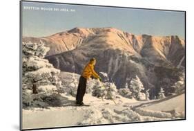 Bretton Woods Ski Area, New Hampshire-null-Mounted Art Print