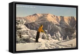 Bretton Woods Ski Area, New Hampshire-null-Framed Stretched Canvas