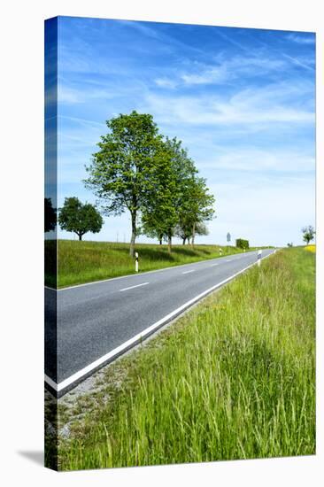 Breuberg, Hesse, Germany, Country Road in Spring-Bernd Wittelsbach-Stretched Canvas