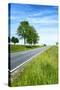 Breuberg, Hesse, Germany, Country Road in Spring-Bernd Wittelsbach-Stretched Canvas