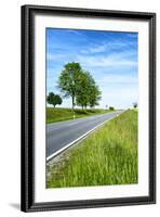 Breuberg, Hesse, Germany, Country Road in Spring-Bernd Wittelsbach-Framed Photographic Print