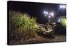 Breuberg, Hesse, Germany, Maize Harvest by Night-Bernd Wittelsbach-Stretched Canvas