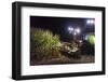 Breuberg, Hesse, Germany, Maize Harvest by Night-Bernd Wittelsbach-Framed Photographic Print