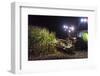 Breuberg, Hesse, Germany, Maize Harvest by Night-Bernd Wittelsbach-Framed Photographic Print