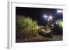 Breuberg, Hesse, Germany, Maize Harvest by Night-Bernd Wittelsbach-Framed Photographic Print