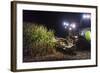 Breuberg, Hesse, Germany, Maize Harvest by Night-Bernd Wittelsbach-Framed Photographic Print