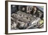 Breuberg, Hessen, Germany, Engine of a Jaguar Mk 2, Year of Manufacture 1961-Bernd Wittelsbach-Framed Photographic Print