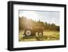 Breuberg, Hessen, Germany, Porsche Diesel 308 Super, Year of Manufacture 1961-Bernd Wittelsbach-Framed Photographic Print