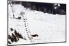 Brevant Ski Area, Chamonix, Rhone Alpes, Haute Savoie, French Alps, France, Europe-Christian Kober-Mounted Photographic Print