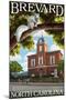 Brevard, North Carolina - Courthouse and White Squirrel-Lantern Press-Mounted Art Print