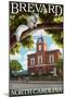 Brevard, North Carolina - Courthouse and White Squirrel-Lantern Press-Mounted Art Print