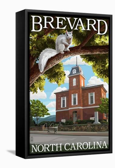 Brevard, North Carolina - Courthouse and White Squirrel-Lantern Press-Framed Stretched Canvas