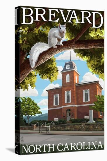 Brevard, North Carolina - Courthouse and White Squirrel-Lantern Press-Stretched Canvas