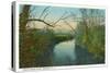 Brevard, North Carolina - French Broad River Scene-Lantern Press-Stretched Canvas