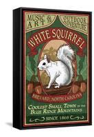 Brevard, North Carolina - White Squirrel-Lantern Press-Framed Stretched Canvas