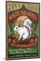 Brevard, North Carolina - White Squirrel-Lantern Press-Mounted Art Print