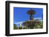 Brewer Fountain, Boston Common, State House, Boston, Massachusetts. Fountain cast in 1868 by Lenard-William Perry-Framed Photographic Print