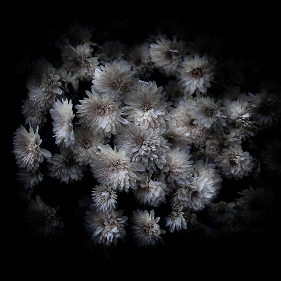 Photo, , large