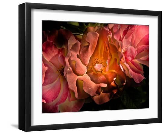 Photo, , large