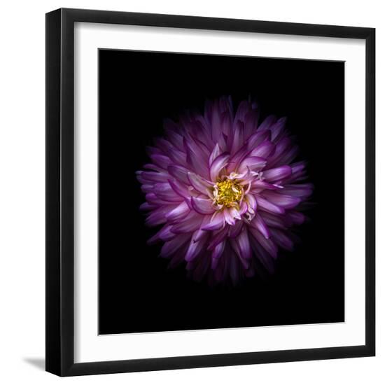 Photo, , large