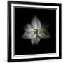 Gramercy Black