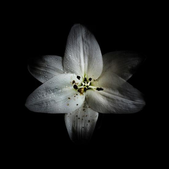 Photo, , large